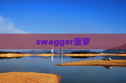 swagger菠萝 swagger菠萝